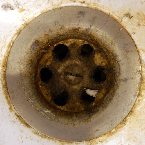 view from above of a clogged drain